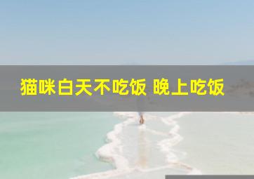 猫咪白天不吃饭 晚上吃饭